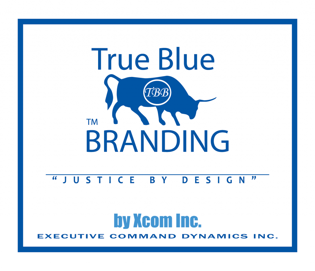 branding graphic design - executive command dynamics inc - guy masterson